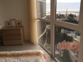 Appartment on Voykova 27